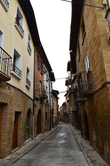 Olite-15-11-2015 - Navarra y sus pueblos-2015 (37)