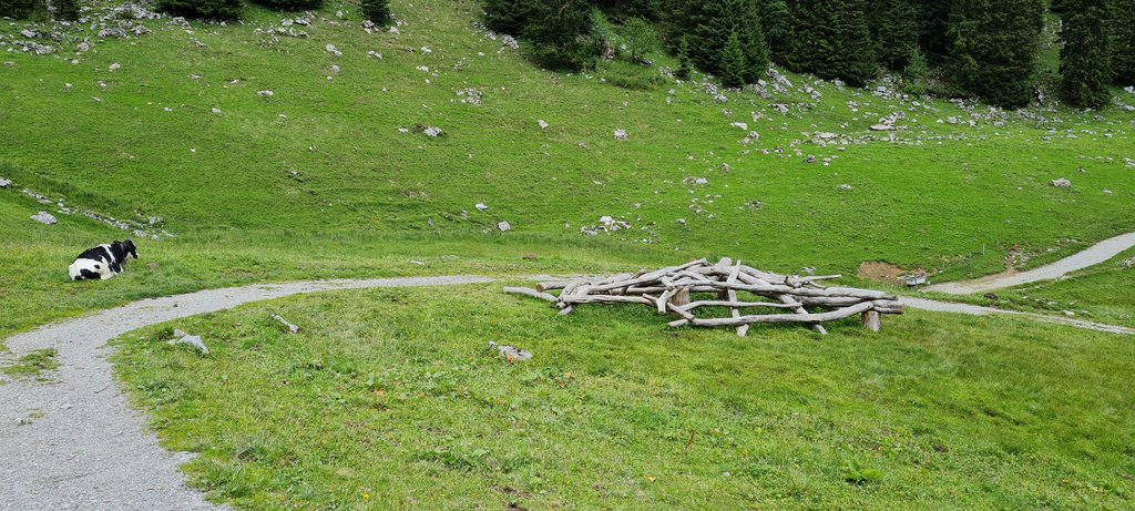 STOCKHORN Y QUIZ TRAIL: frío y diversión a partes iguales - Suiza: 7 veranos, 7 planes con niños (9)