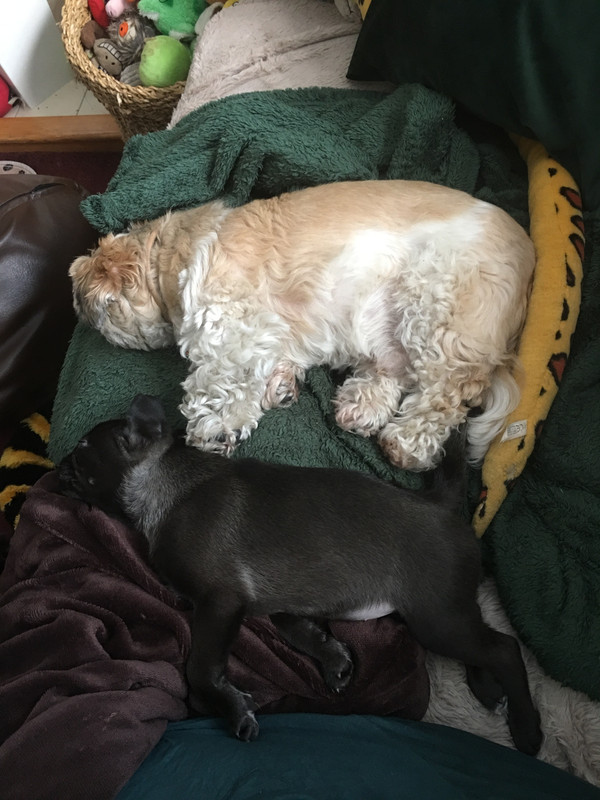 C64137CC-7B12-48F6-9C3D-4AD3E19DF451