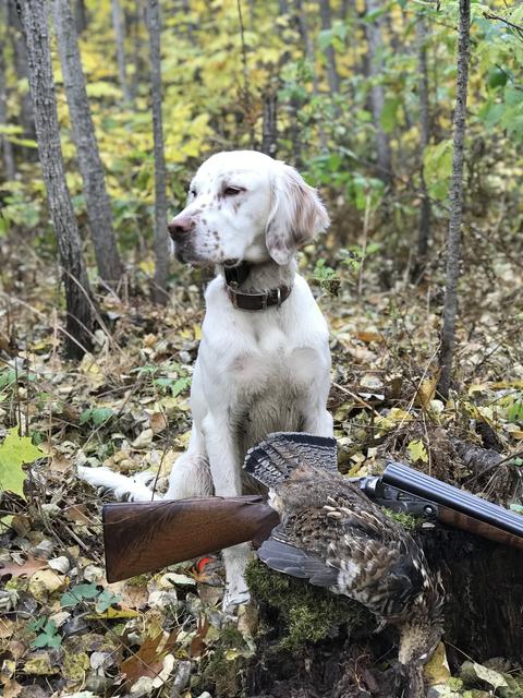 0344D59B-8922-4318-9E3A-D5C75384948D