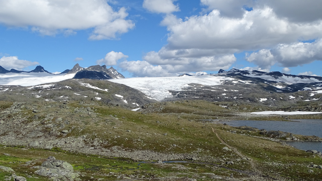 DSC00968.jpg