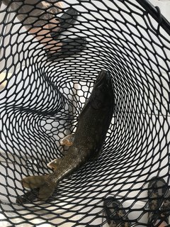 1BD01C29-0CC6-4357-897A-E084E70A8465