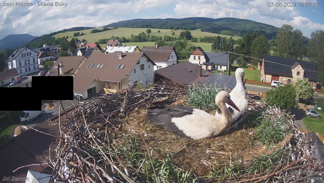 Tiešraides kamera — Mladé Buky — stārķa ligzda 8-55-41 screenshot