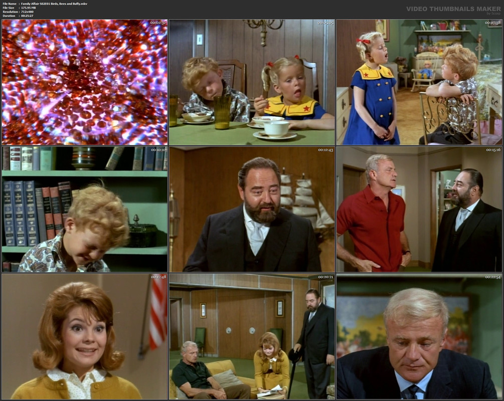 Family Affair S02E01 Birds, Bees and Buffy.mkv