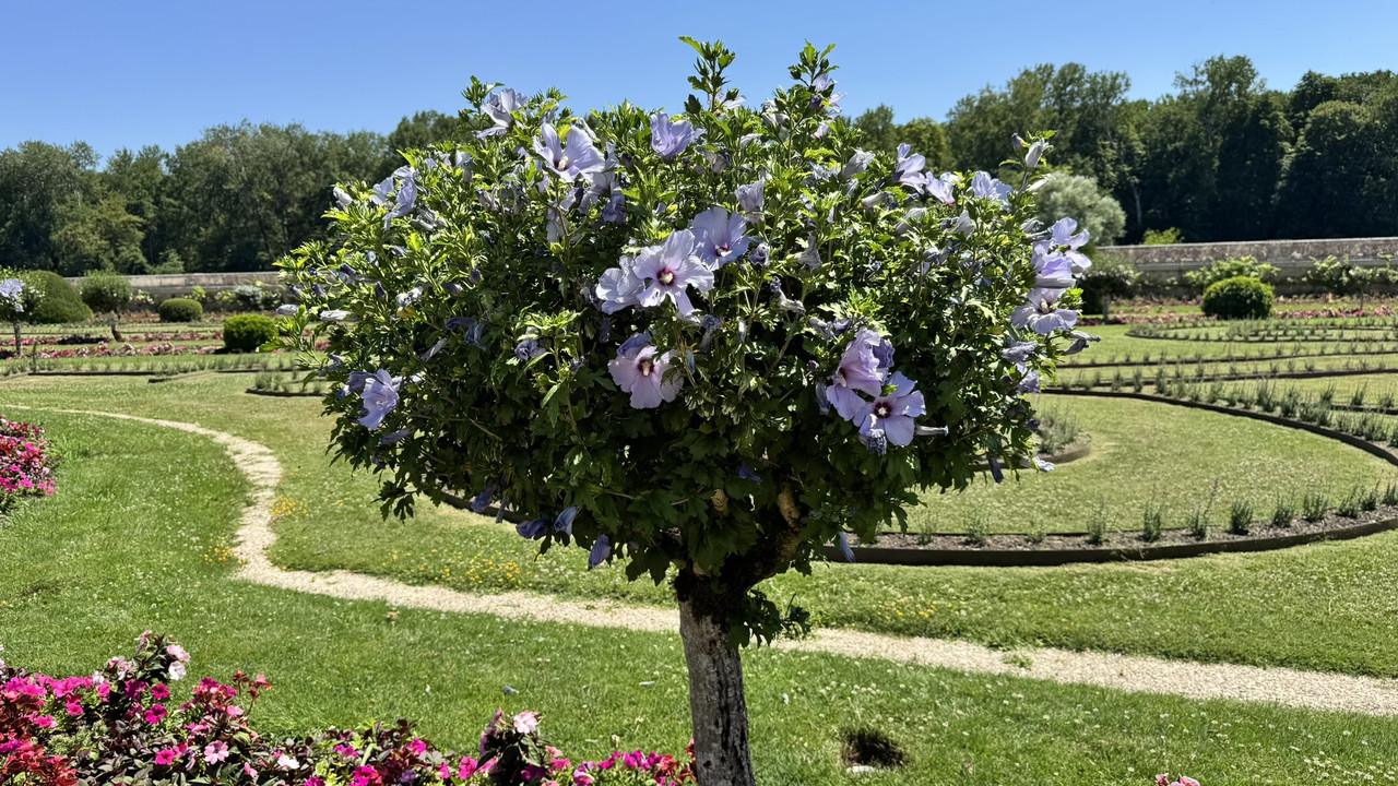 [Obrazek: IMG-6374.jpg]