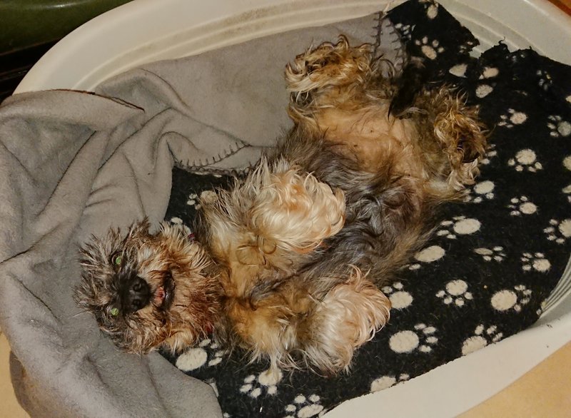 [Image: 20240306-210551.jpg]