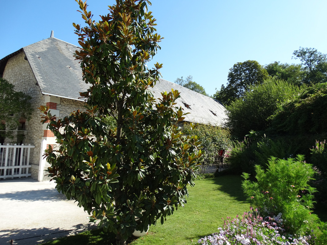 04.05 - DSC08448 (Czesio1)