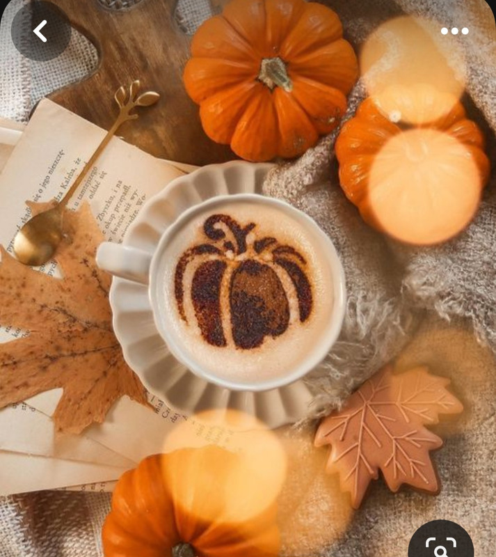 Screenshot_20230909_233955_Pinterest