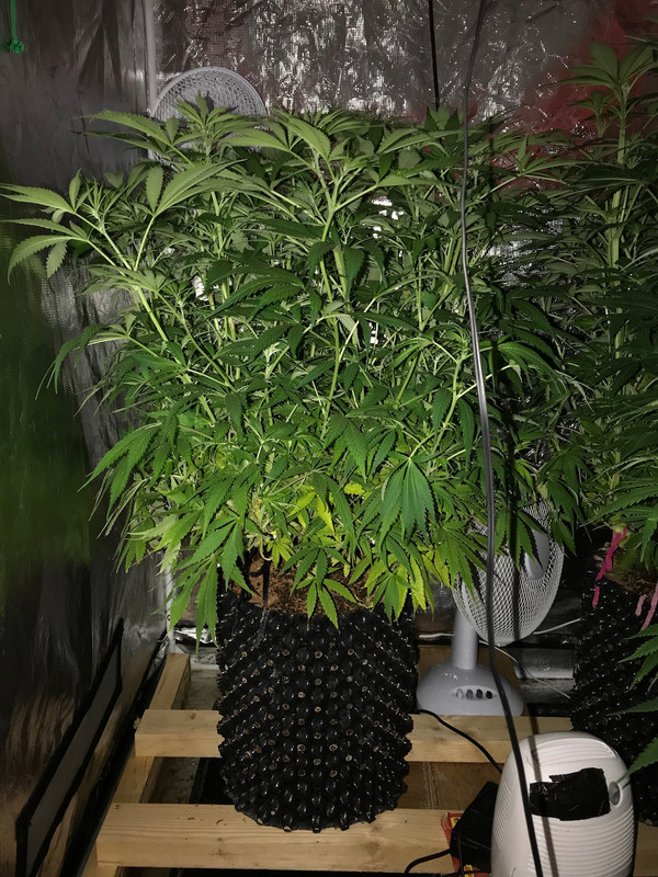 EE2575C7-D589-450B-9C68-6FD0E2EACFC7