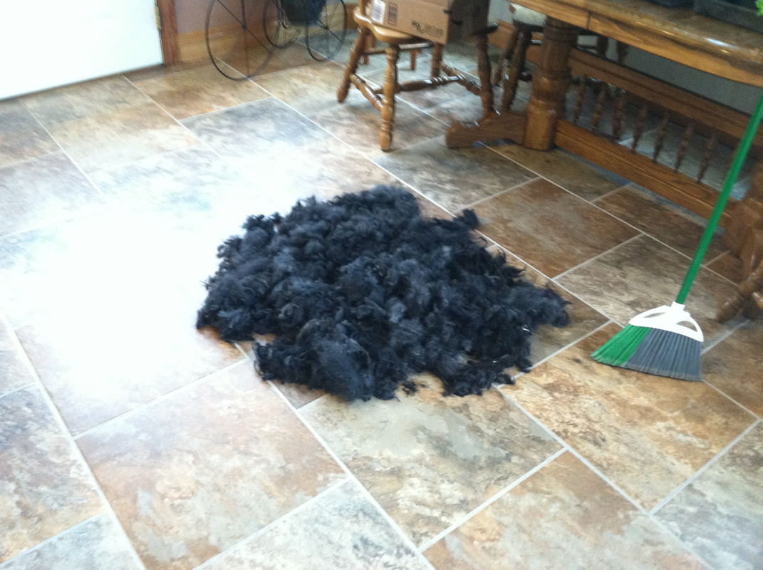 3F538D03-0992-48B2-8D36-8512B2ACC35B