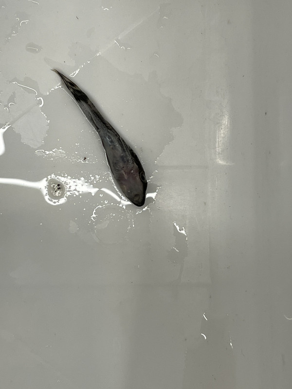 E0AD799C-56C8-4719-A163-6F1B50C94491