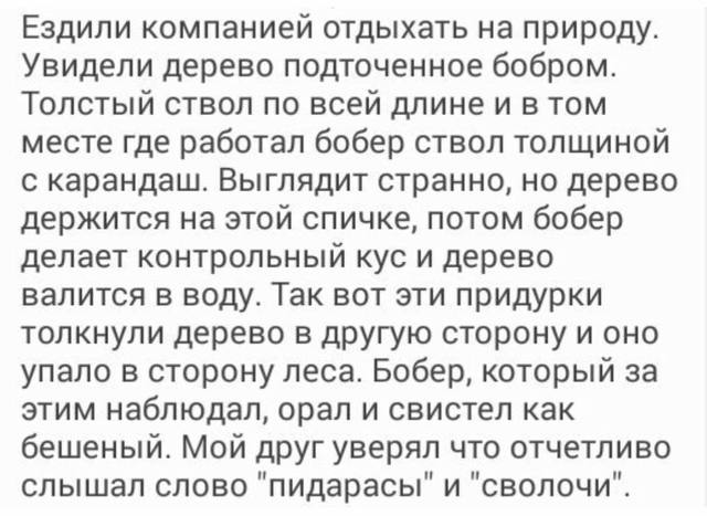 19702489_10209928289180888_7117370468287136028_n