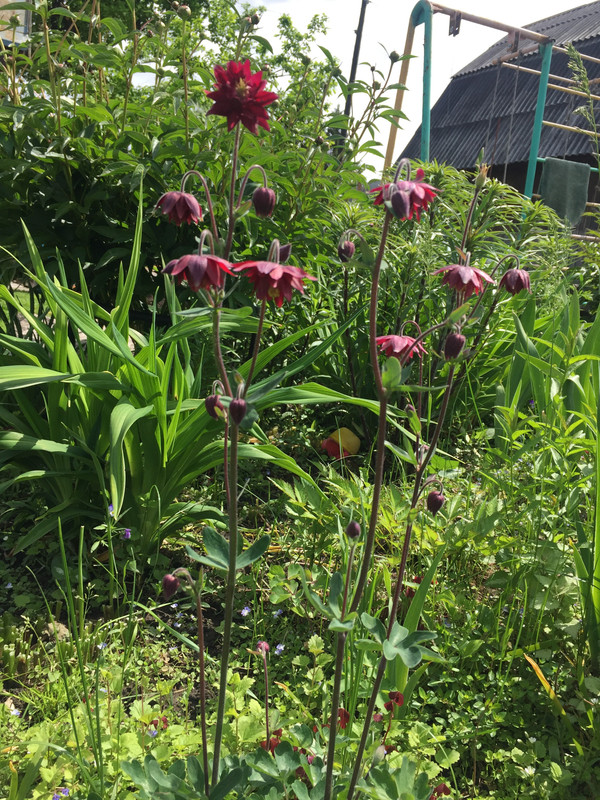 50B80702-EF4D-41E0-8636-B5CDD846F39A