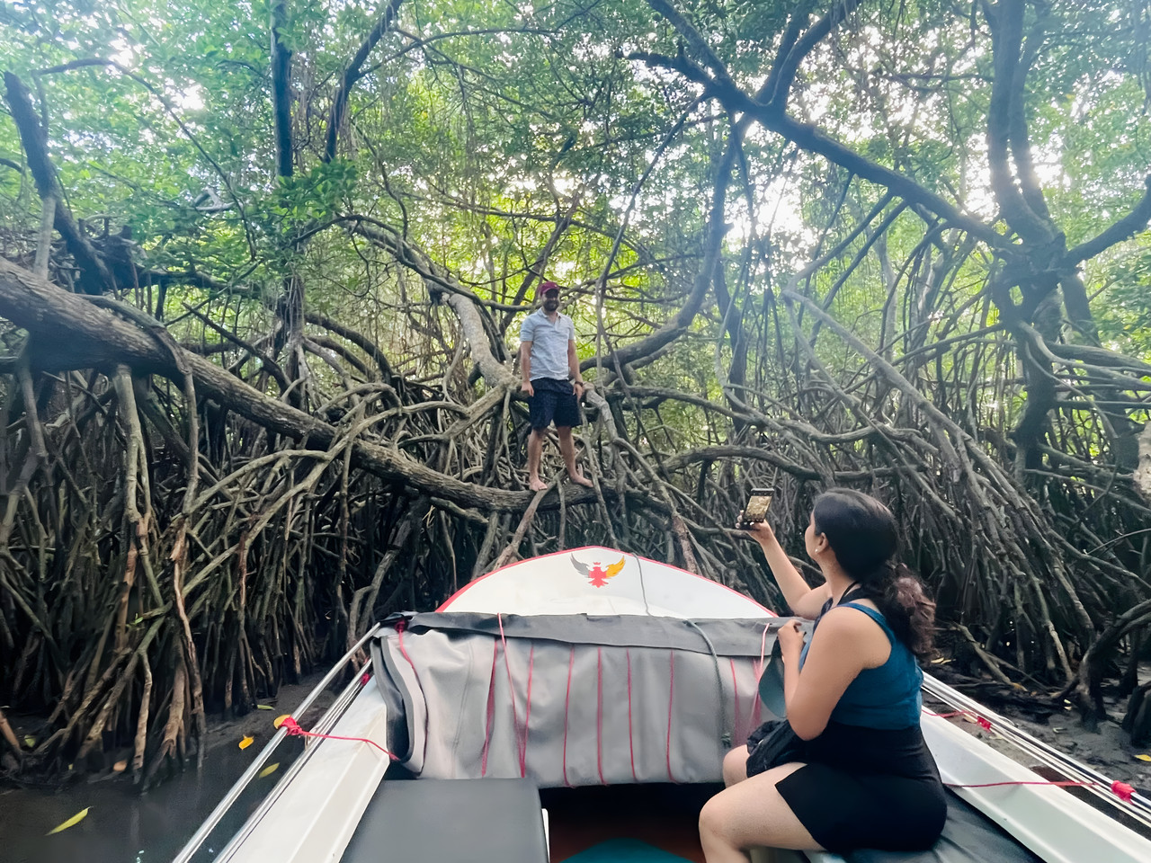 Mangrove Tree 5