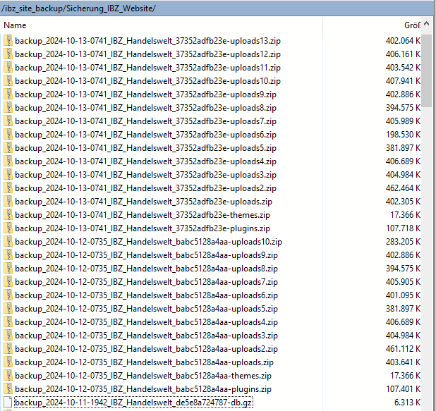 Backups im Internet