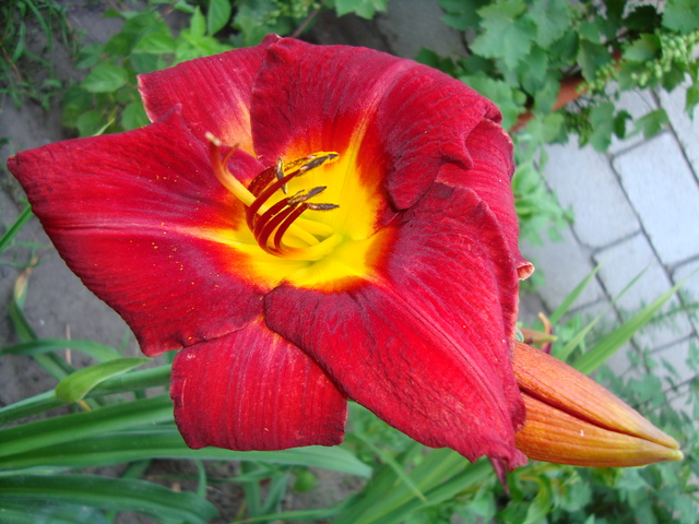 DSC05875