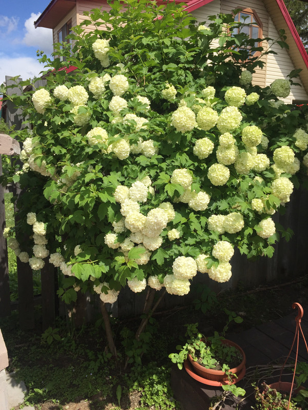 B3EA50E9-99B8-4233-9C10-13347C1A9CAE