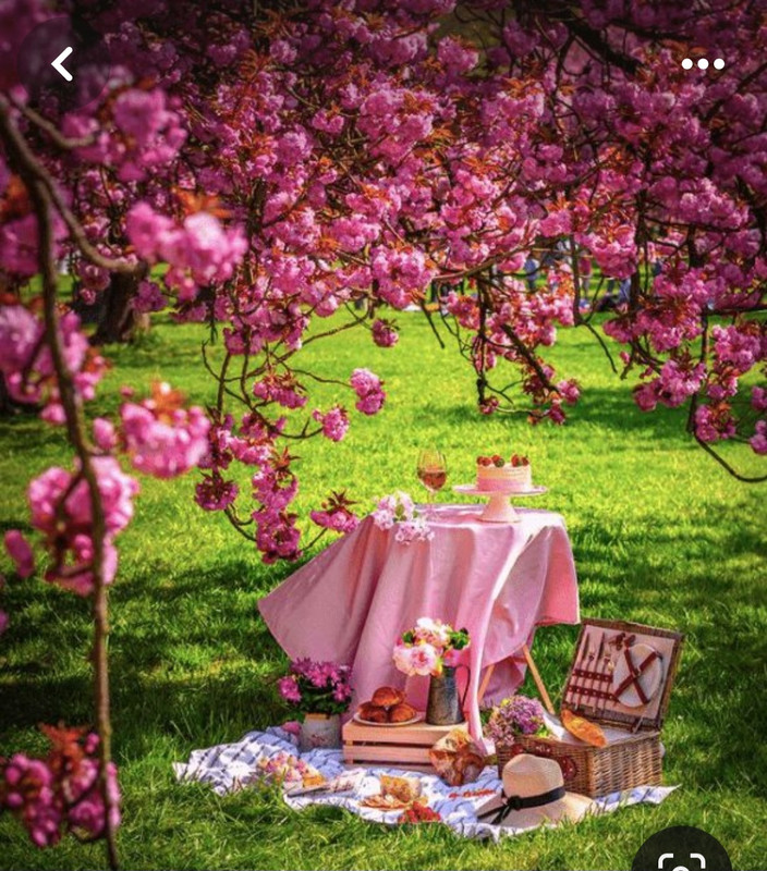 Screenshot_20240404_205256_Pinterest