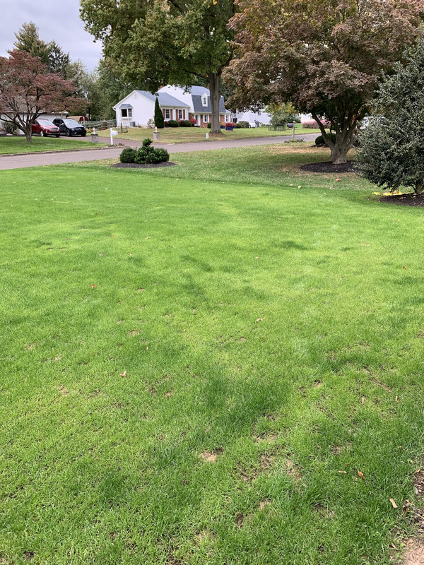 7BDAD834-F887-4E4A-9605-DF575E6A45A1_1_201_a