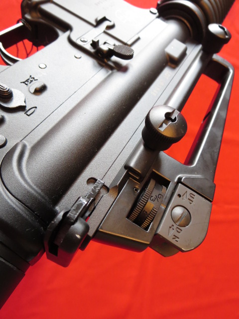 Waff-ank-Clearwater-061