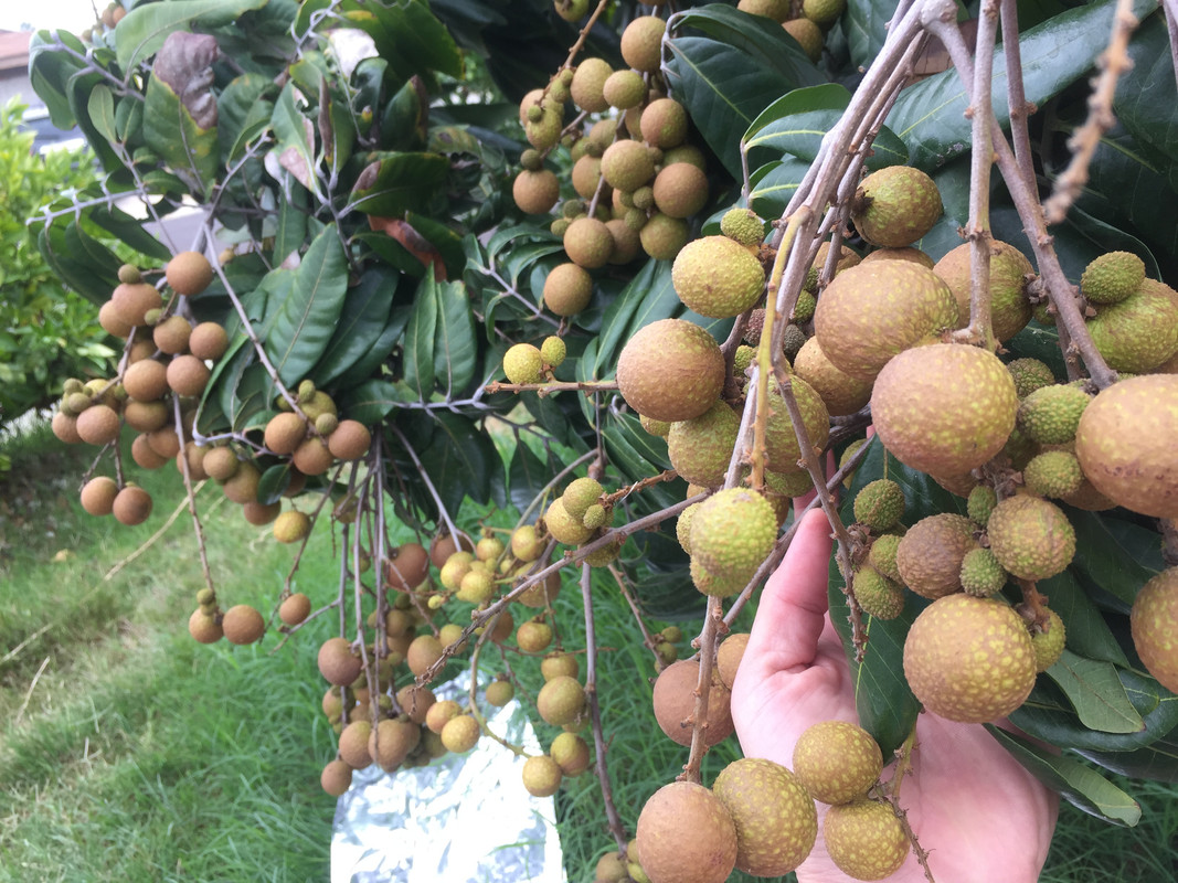 718F21B1-C9BF-4DB6-84D8-0A675C3DABBC