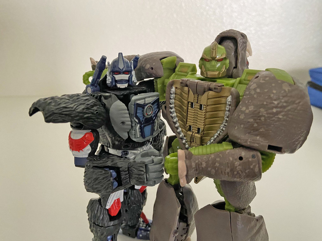 Kingdom-Rhinox-In-Hand-Images-17