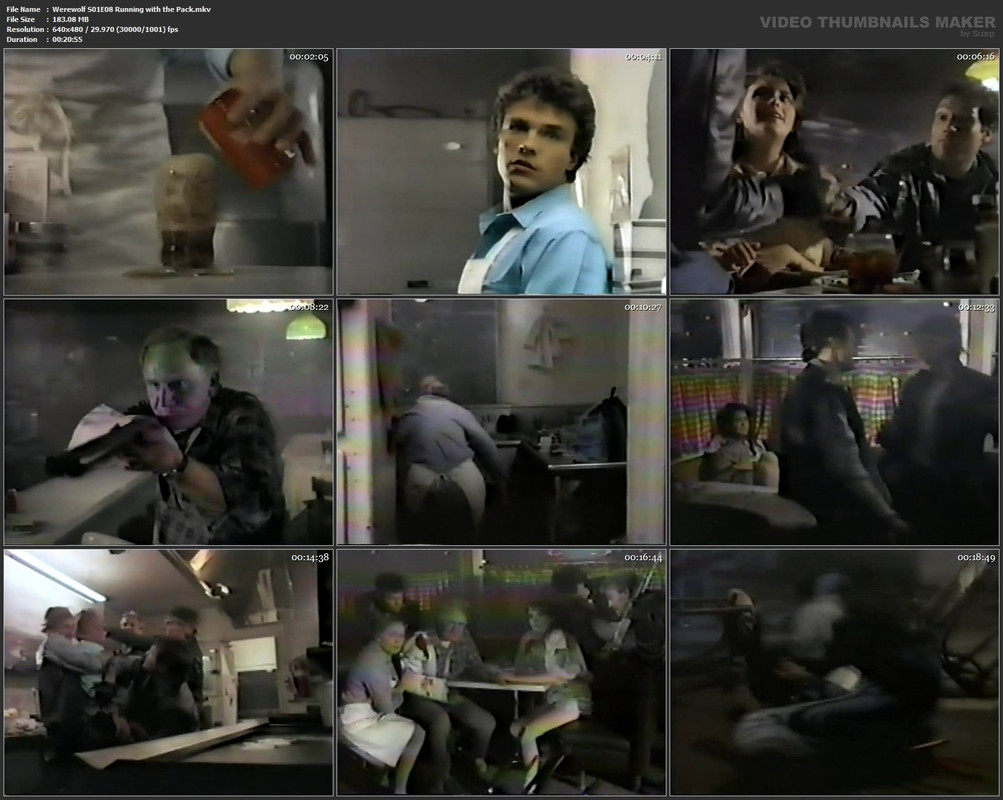 Werewolf S01E08 Running with the Pack.mkv