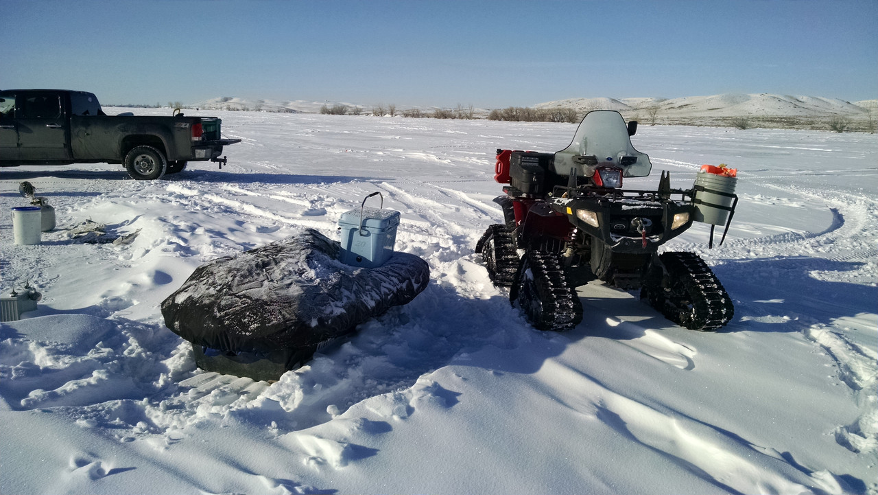 IMG_20150201_100854848