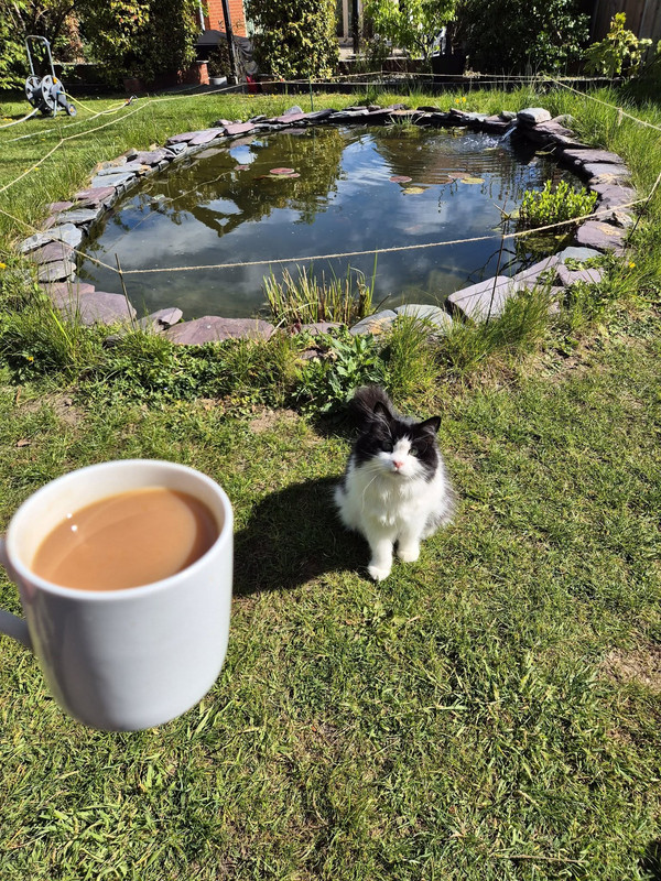 Pond