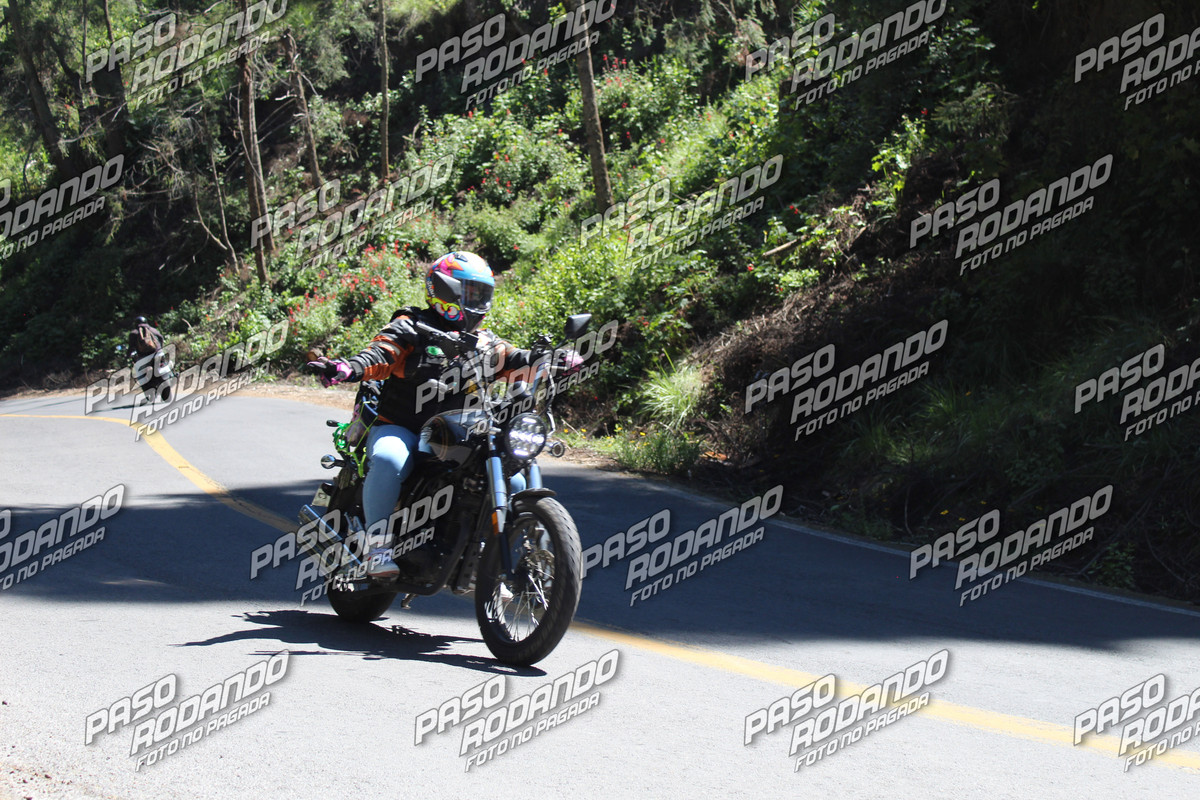 IMG 5525 wm 1279429 3999999985 watermarked — Postimages
