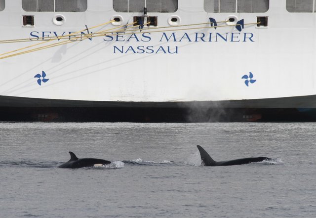 [Linked Image from i.postimg.cc]