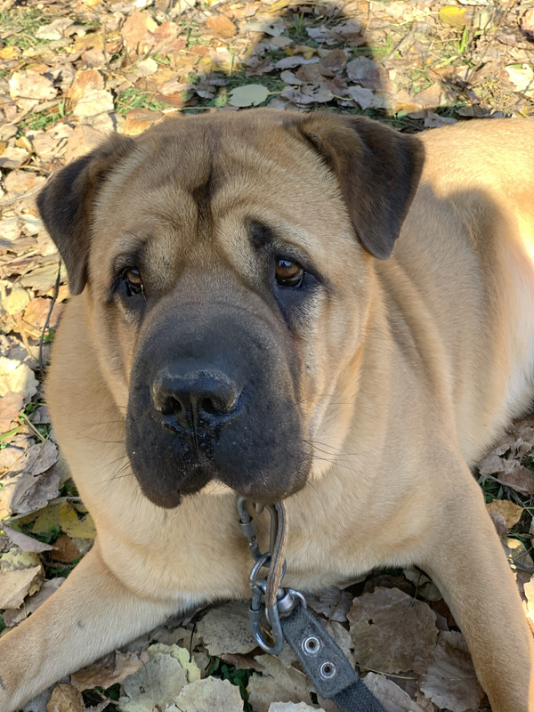 EDCF404F-A55F-4DB4-B302-950FC239AEA0