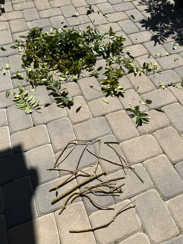 F8735C8B-6C15-4566-9E8A-A2245D801FC9