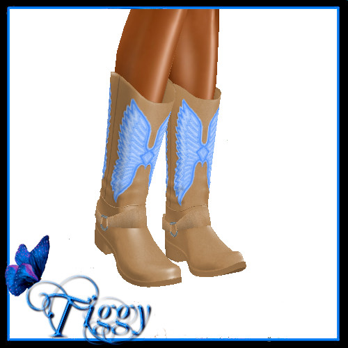 Baby-Blue-Country-Boots