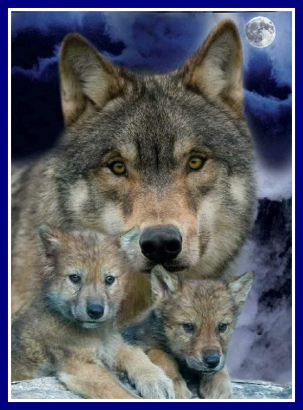 236322493_1119002855295608_8187542588172047536_n