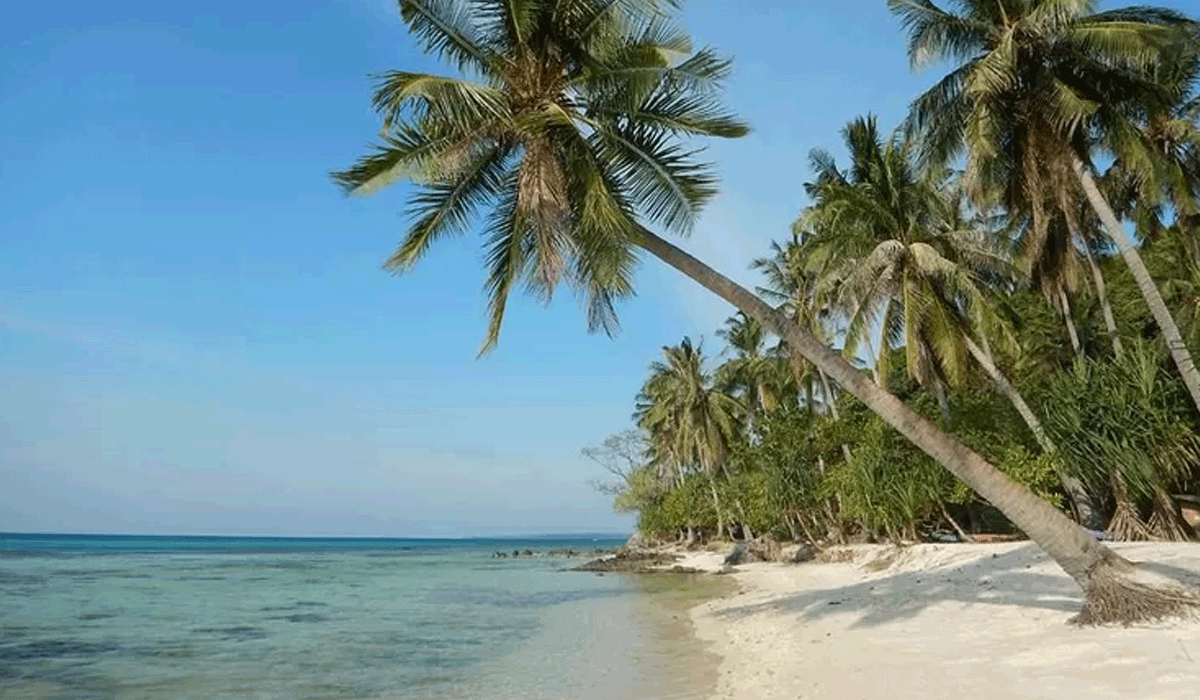 Rahasia Keindahan Pantai Tanjung Gelam Karimunjawa Bikin Terpesona
