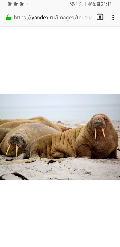 Screenshot_20200621-211135_Firefox