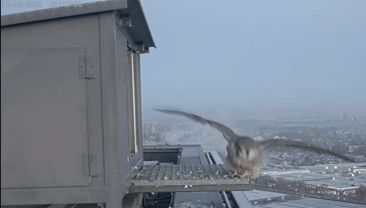 2B61AD54-293D-4574-B4F3-A1B67FE684F3