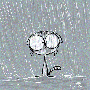 eeb09c0268888d86b57e93eb160d4f90.gif