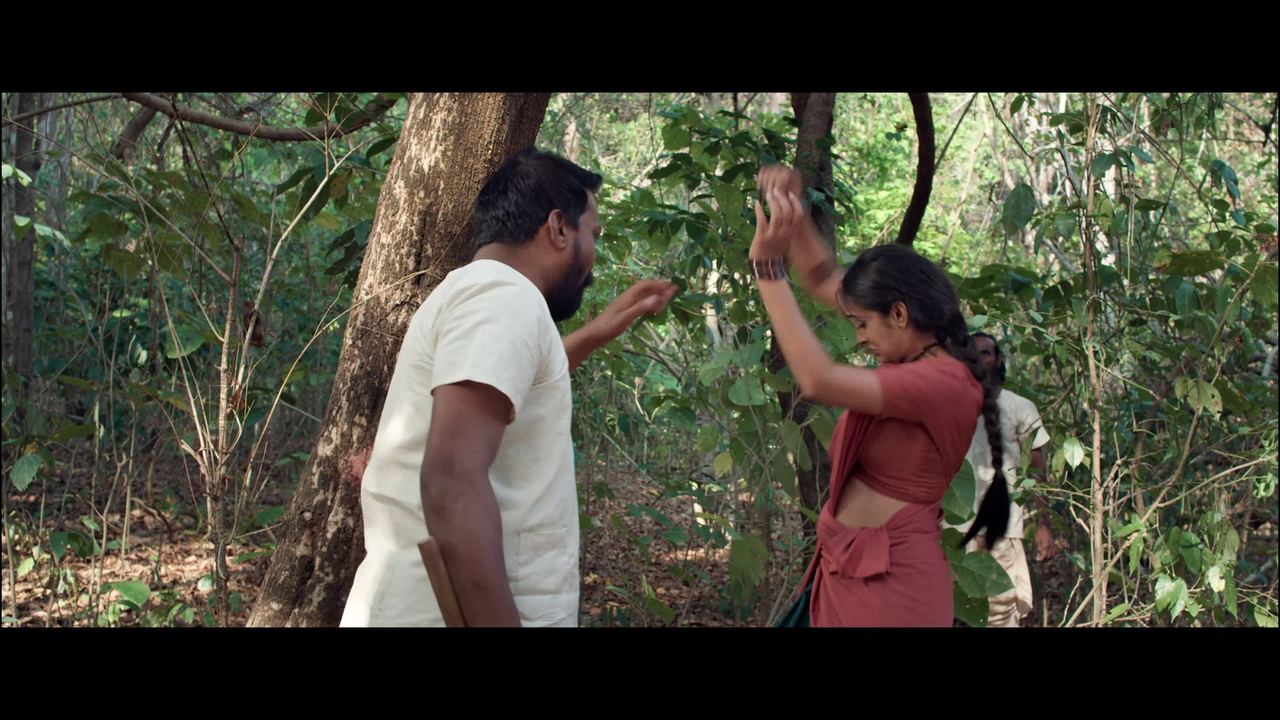 vlcsnap 2025 11 02 13h53m09s083