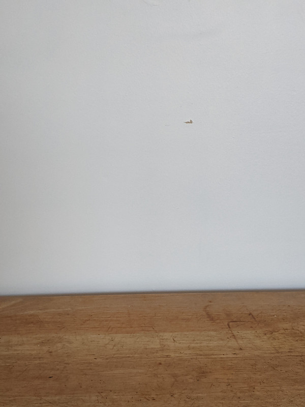 PXL_20251005_145119377