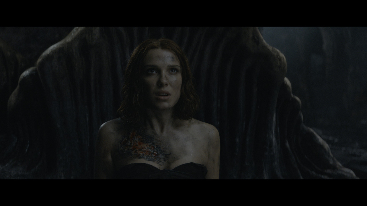 vlcsnap-2024-03-22-13h38m56s551