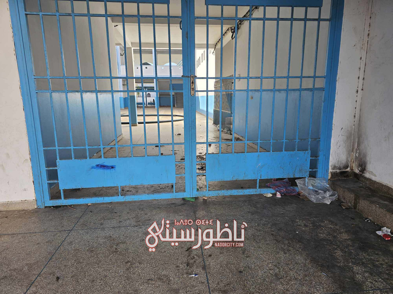 576740772-2061915507937321-8468709855370478664-n