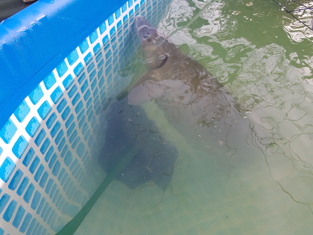 9B8774DC-2FA8-4BBF-ABCC-5AE6A3F37B59