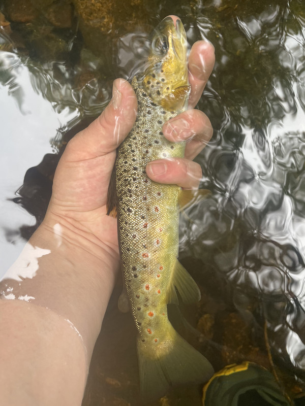 38F8F8DC-20C0-43B0-9830-57B9464FCB04