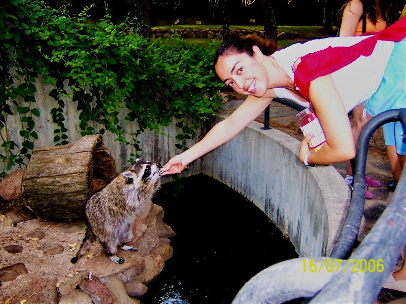 ZOO DE MADRID-1992/2001/2006/2007-MADRID - Paseando por España-1991/2016 (17)