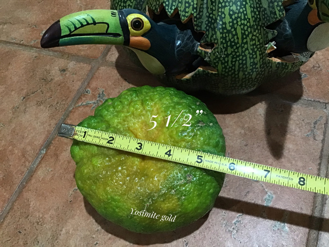 0832BA5D-C3F4-4B1A-AC69-2AB581F71EBC