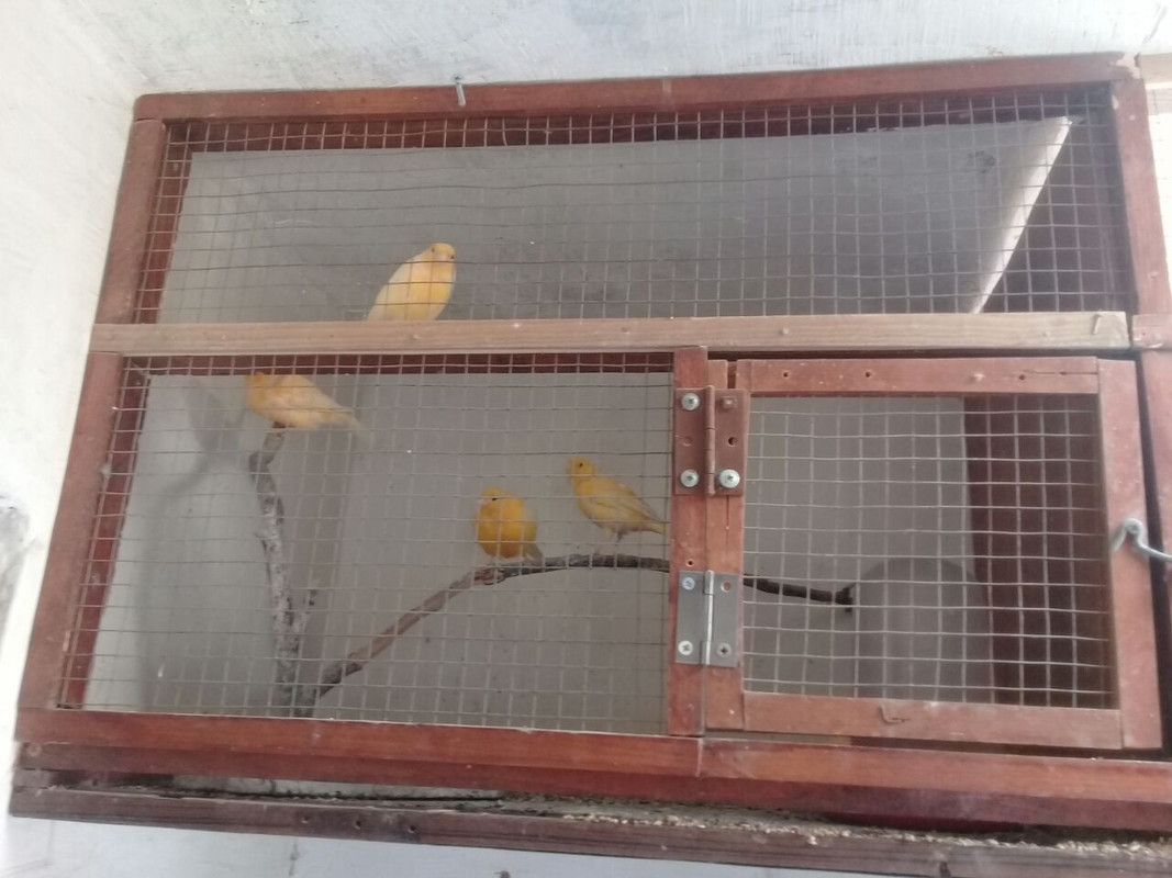 IMG-20180422-WA0012