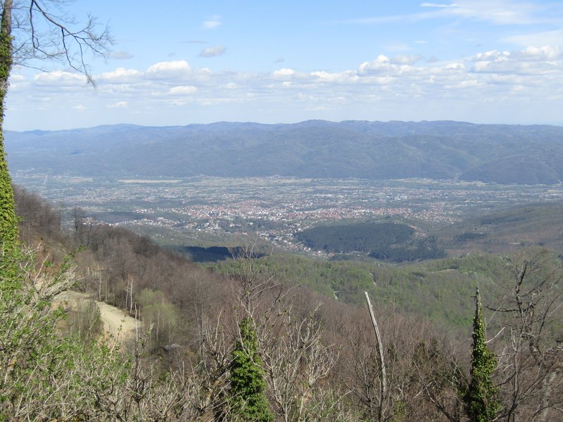 Slika