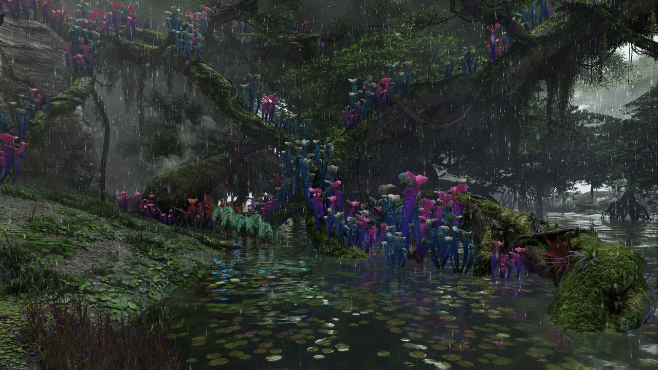 afop 2026 01 09 19 22 52 617